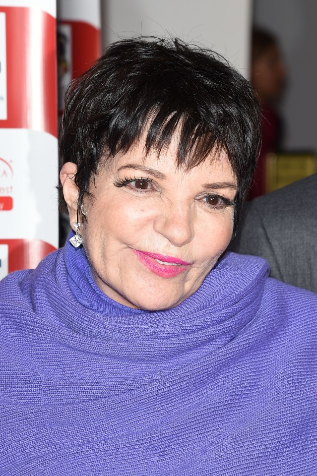 Liza Minnelli photographed at the Los Angeles Italia Closing Night Ceremony at TCL Chinese 6 Theatres on February 20, 2015 in Hollywood, California